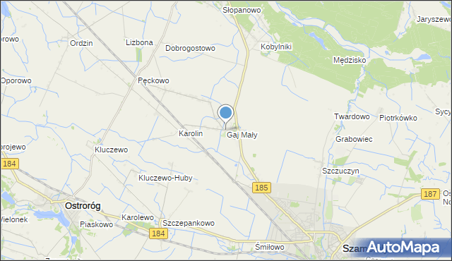 mapa Gaj Mały, Gaj Mały gmina Obrzycko na mapie Targeo